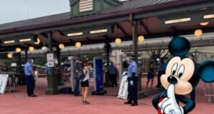 security-mickey-secret-tip