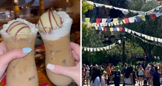 boma-drink-animal-kingdom-lodge