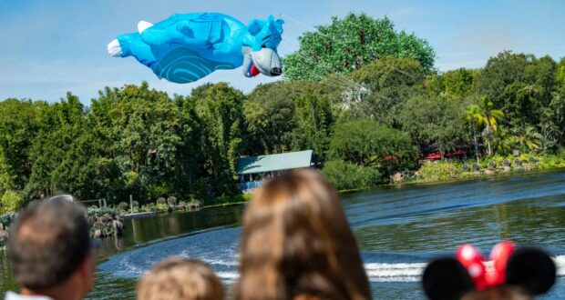 kitetails-animal-kingdom-show