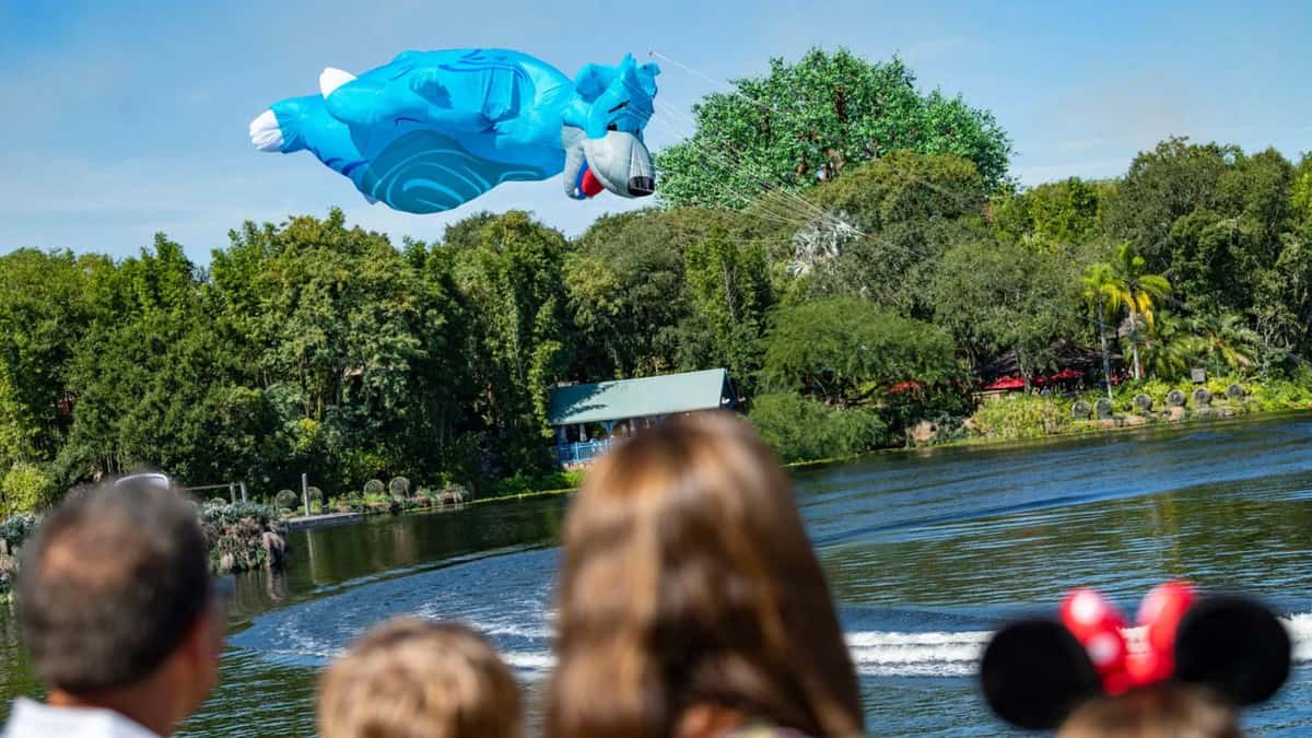 kitetails-animal-kingdom-show