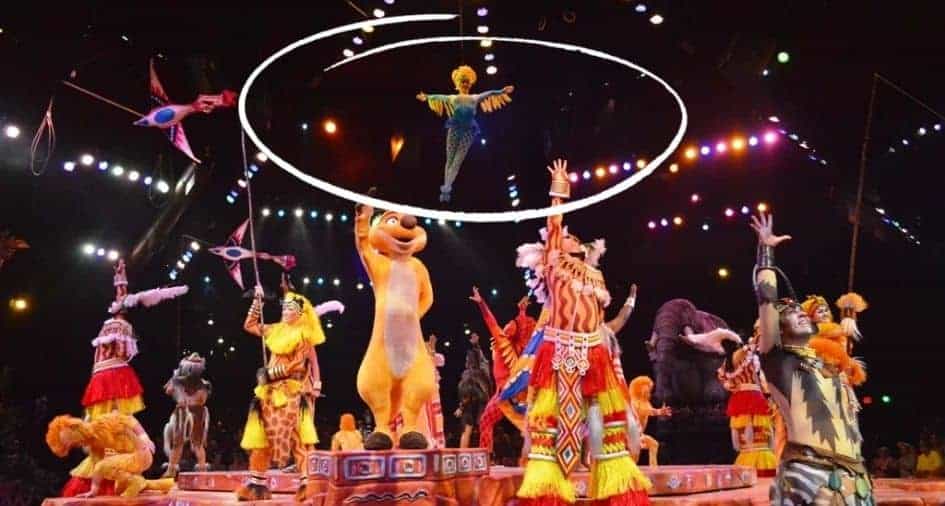 flying-bird-disney-animal-kingdom