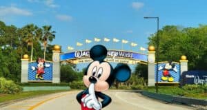 disney-gate-secret