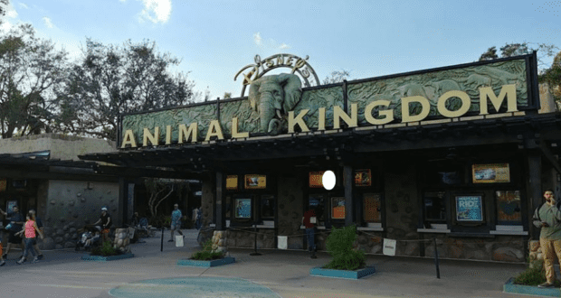 Animal Kingdom