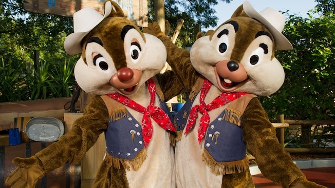 chip-n-dale