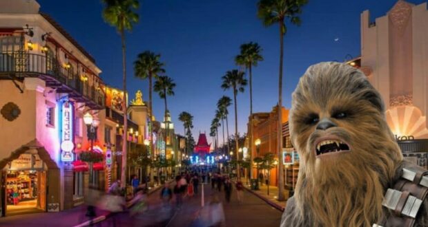disney-hollywood-studios-chewbacca