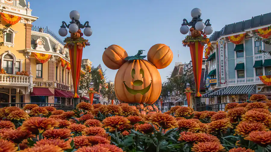 Mickey Pumpkin Disneyland