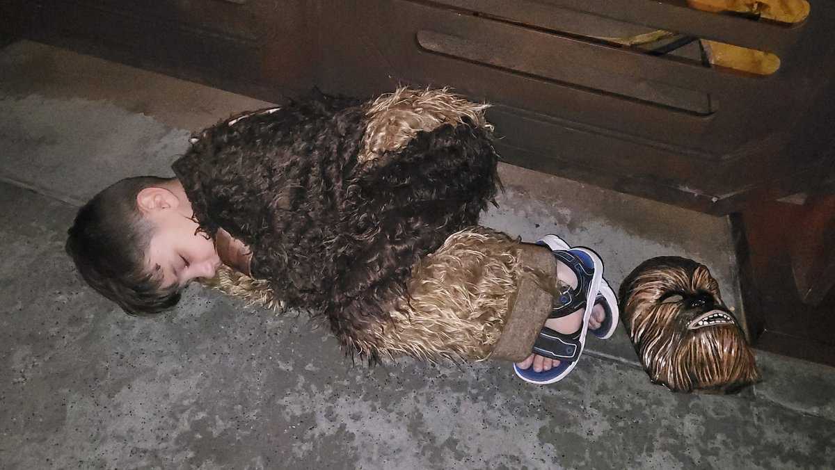 Child sleeping in Chewy costume