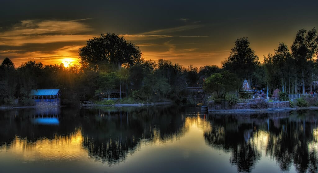 animal-kingdom-sunset