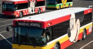 disney-buses