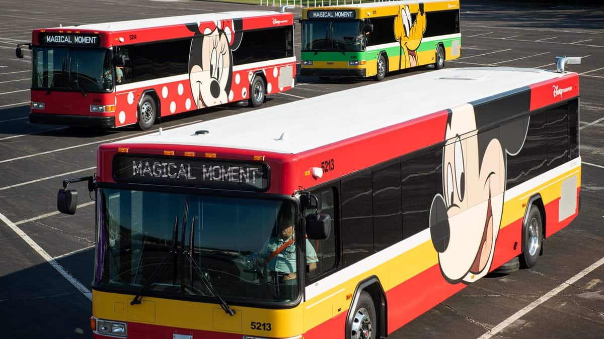 disney-buses