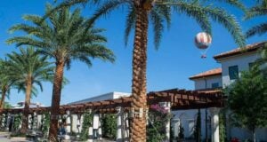 disney-springs-bus-station