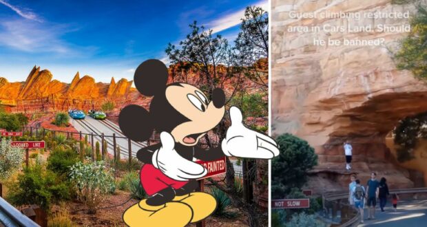 guest-climbing-cars-land