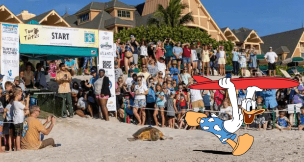 Disney Vero Beach