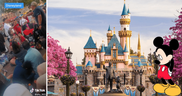 Disneyland Fight