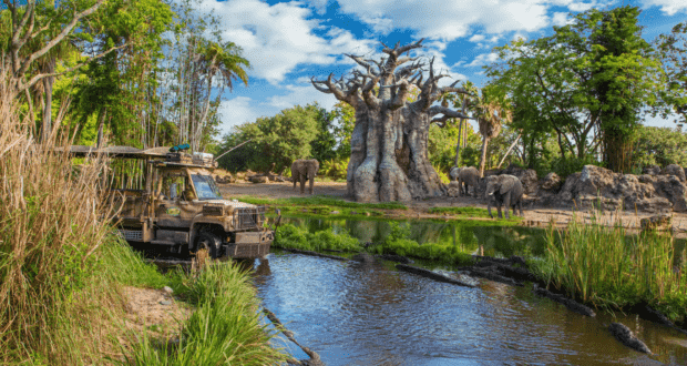 Kilimanjaro Safaris