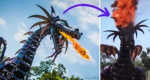 maleficent-dragon-head-on-fire