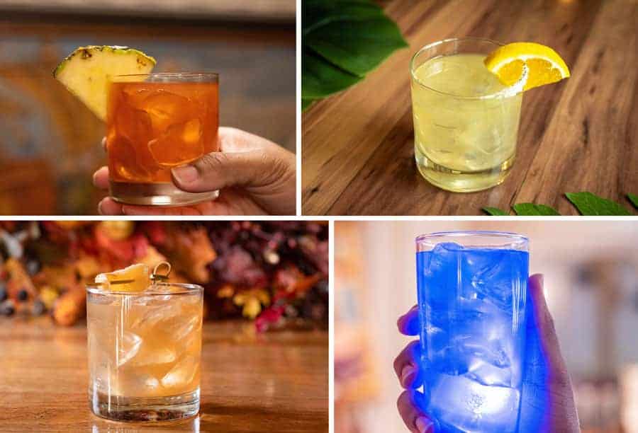 new-magic-kingdom-alcohol-selections