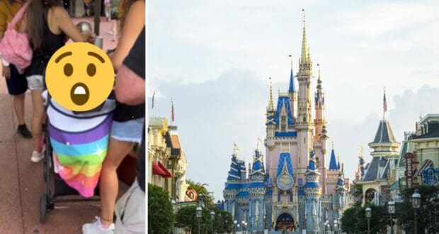 child-hidden-stroller-to-avoid-paying-disney-ticket