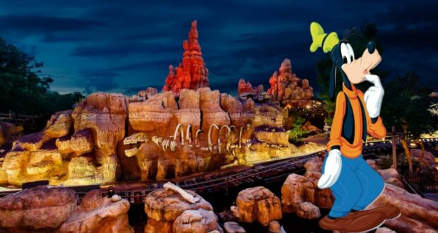 guest-pin-stuck-in-arm-disneyland