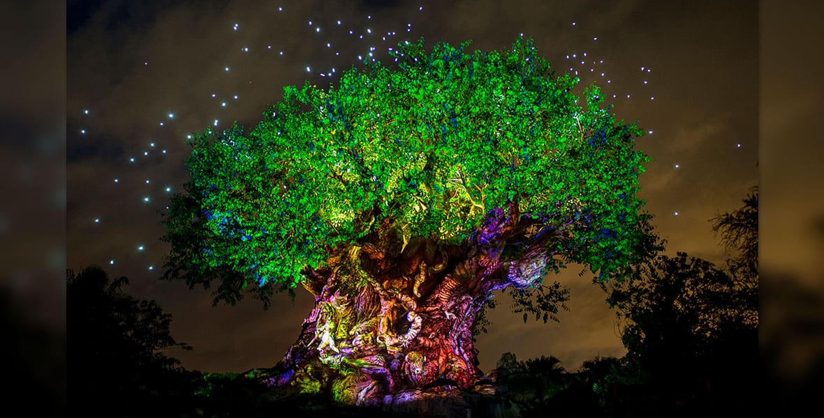 Tree of Life Awakenings