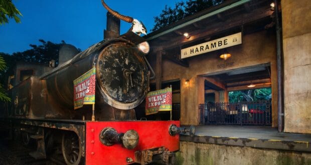 wildlife-express-train