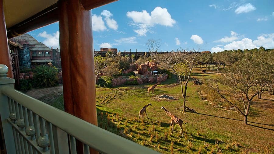 Disney's Animal Kingdom Lodge