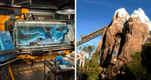 animal-kingdom-top-attractions