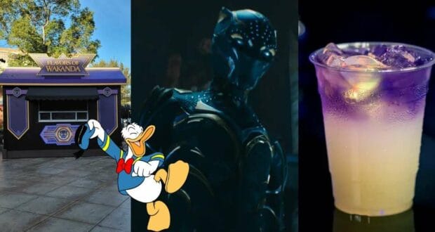 Wakanda Forever Fare