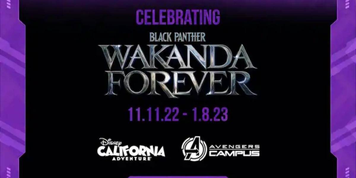 Black panther wakanda forever