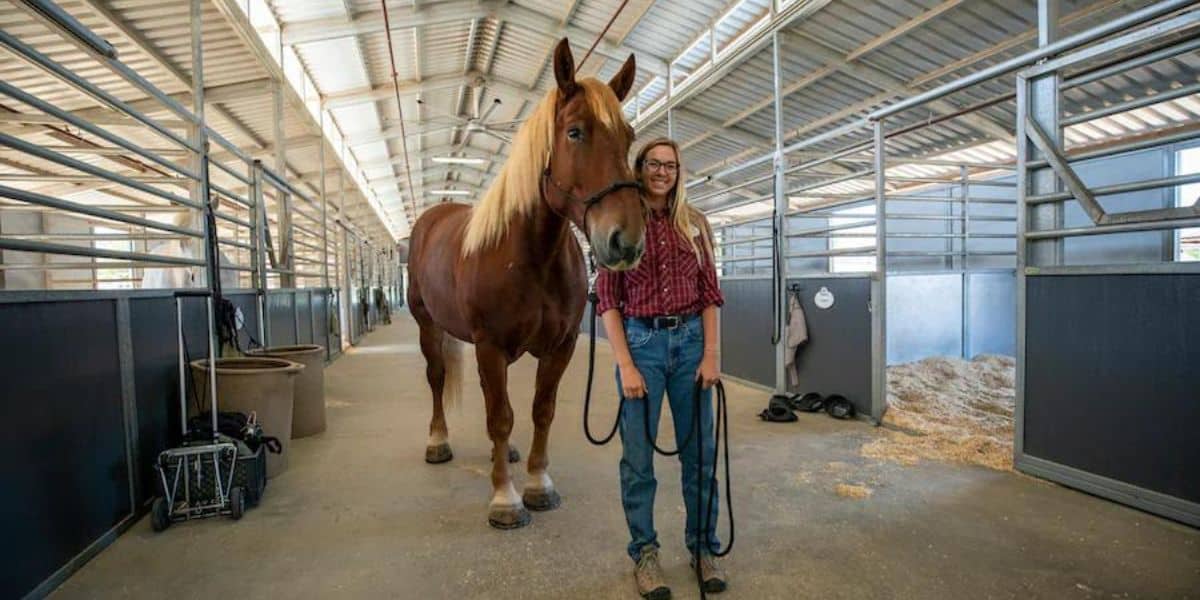 horse-fort-wilderness-ranch-hand