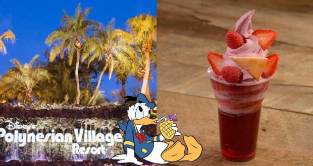 Disney's Polynesian Resort, a dole whip float and Donald drinking from a pineapple