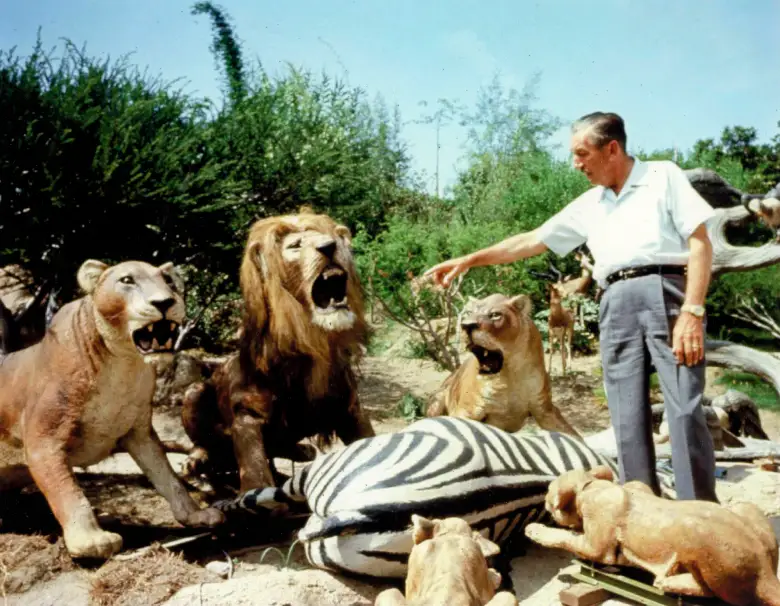 Walt Disney During Jungle Cruise Renovation