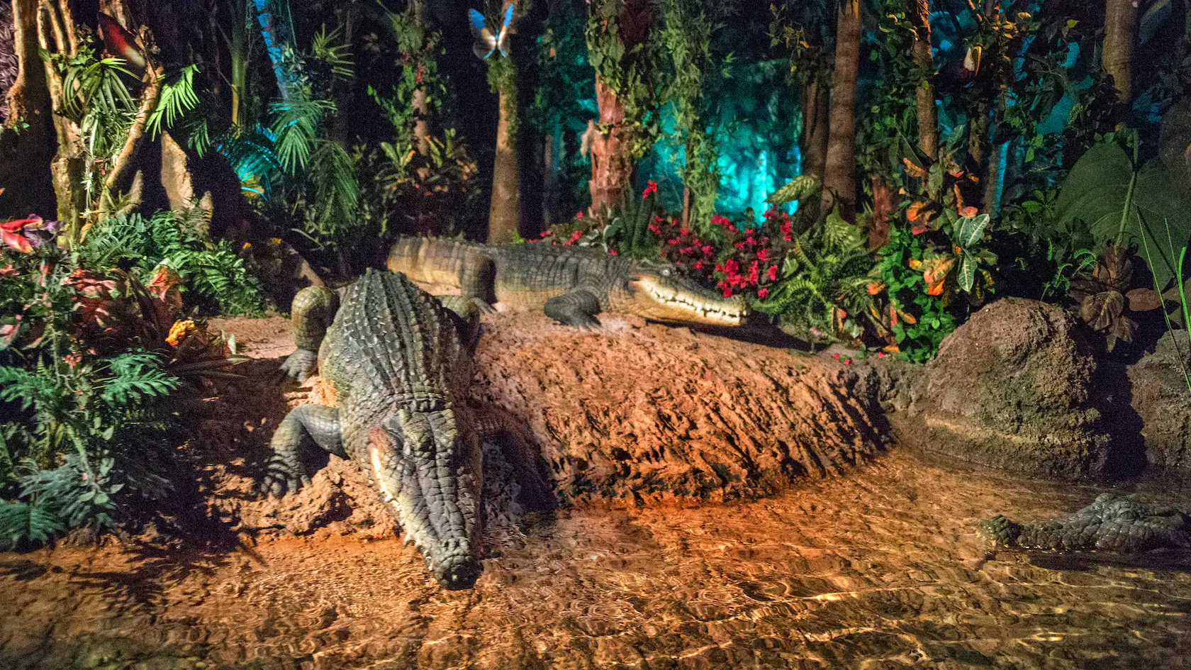 living with the land rainforest scene