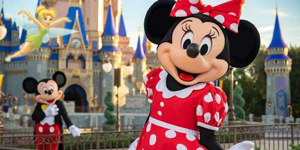 Disney World Character Meet and Greets