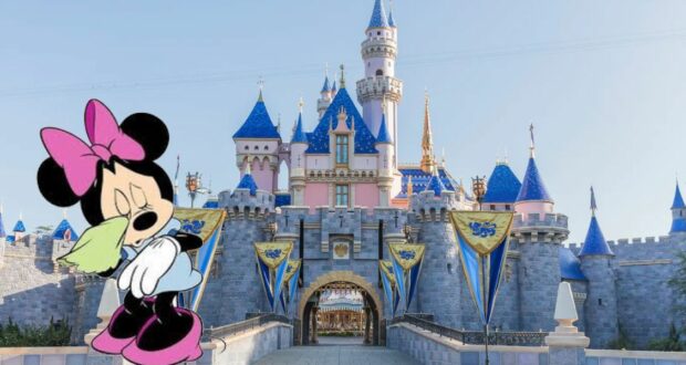 Disneyland Castle