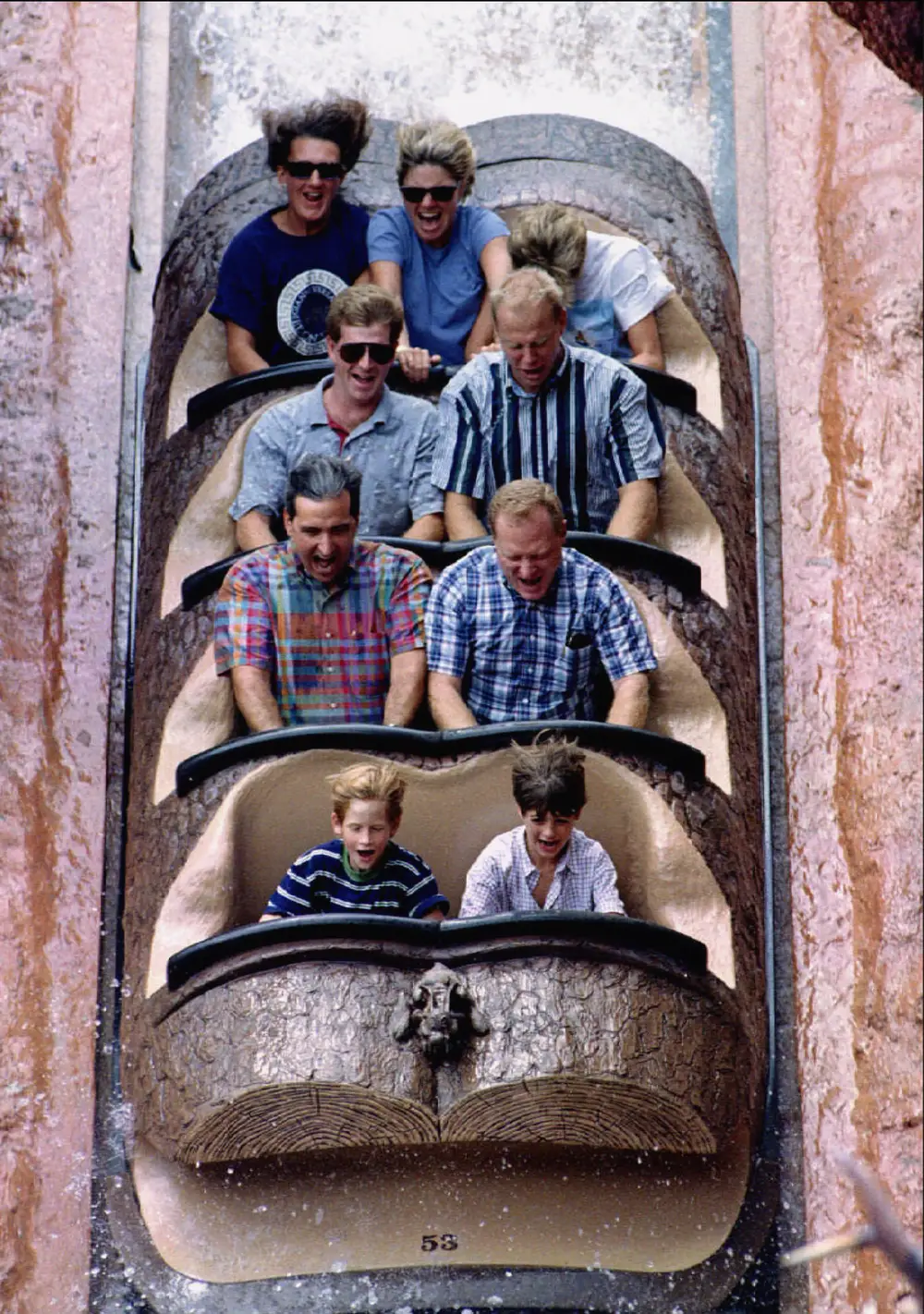 princess diana prince harry william splash mountain