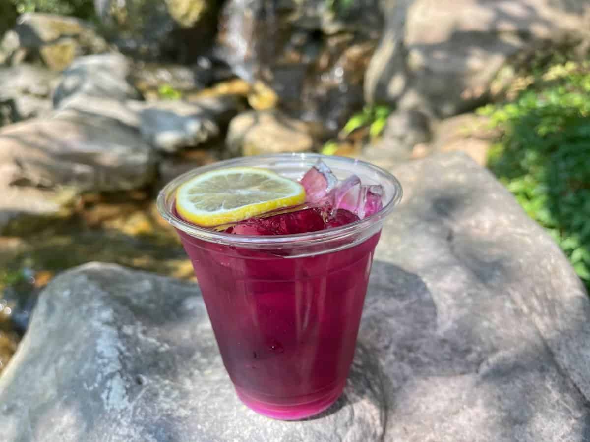 Violet Sake EPCOT Japan