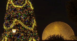 EPCOT at Christmas Time