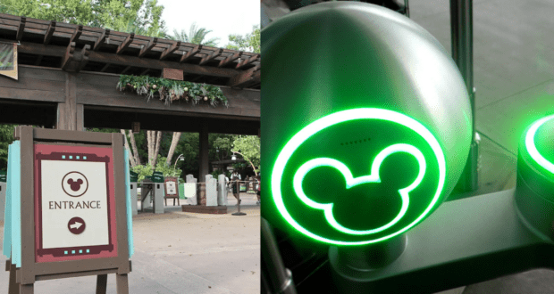 Sneaking into Disney World Feature Image