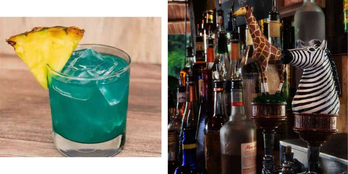 Cocktail at the Dawa Bar in Disney's Animal Kingdom