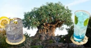 Disney's ANimal Kingdom Cocktails-Feature