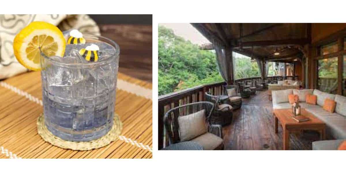 Nomad Lounge in Disney's Animal Kingdom