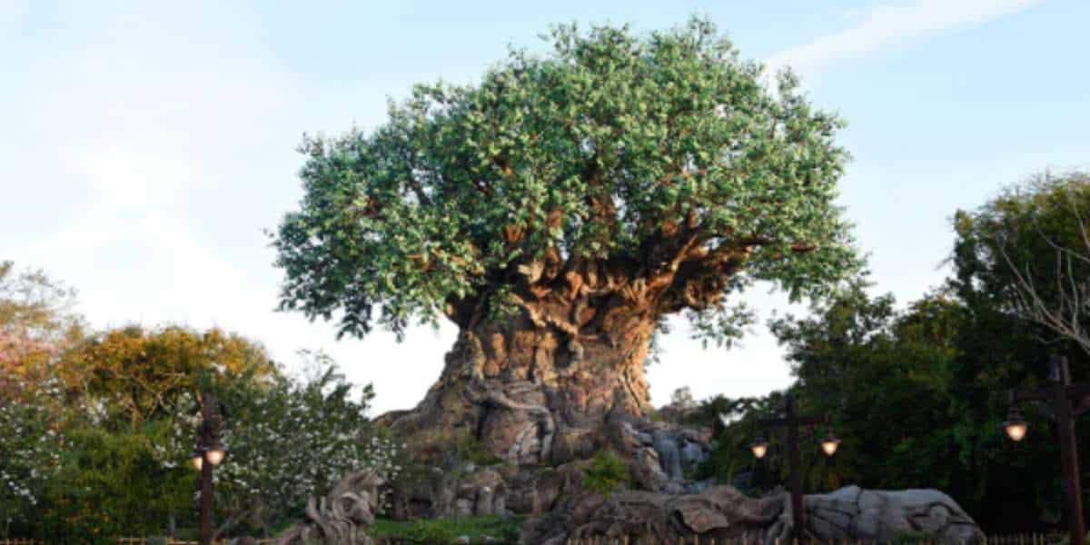 Tree of Life
