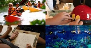 A four-part collage: Top left shows people kayaking in a lush, green environment. Top right captures hands assembling a Mickey Mouse-shaped cake—one of the delightful unknown to-dos at Disney World. Bottom left depicts someone drawing a cartoon character. Bottom right displays people snorkeling in a vibrant underwater reef.