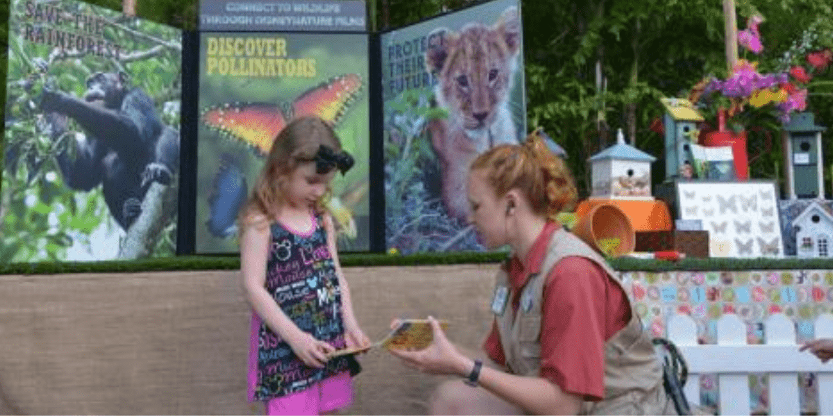 A Cast Member at Animal Kingdom Teaching Child