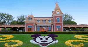 Mickey Floral Design by Disneyland park