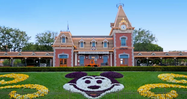 Mickey Floral Design by Disneyland park