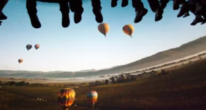 Soarin' Over California