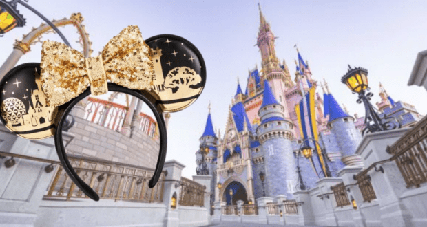 Removable minnie ear bows