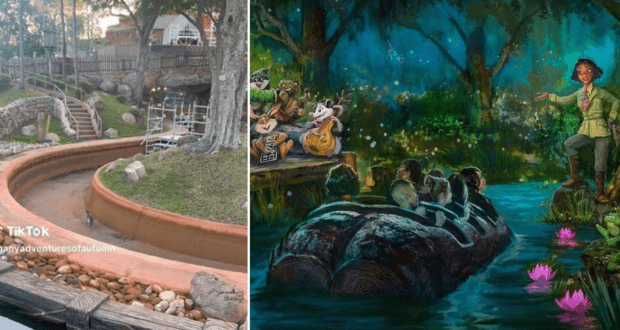 Tiana's bayou Adventure Visitor - Feature